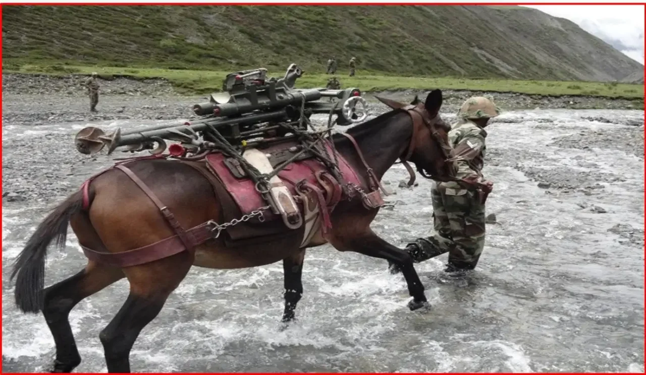 Mountain Artillery Retires: Mules Make Way for Drones, ATVs & Robotic Mules in Indian Army